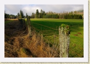 D200_0187 Skagit Fence * 750 x 502 * (644KB)